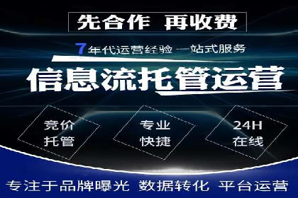 行业领先企业的SEM代理案例剖析